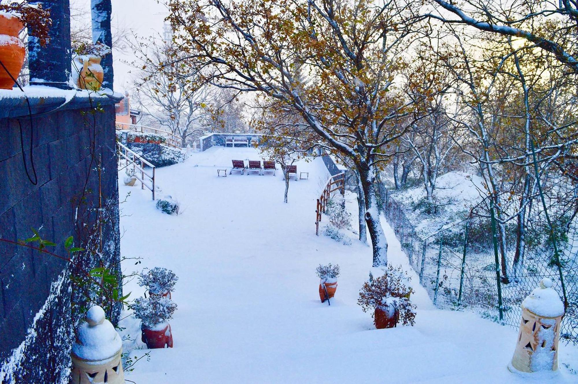 Villa Del Gelso Chalet Nel Parco Delletna 마스칼리 외부 사진